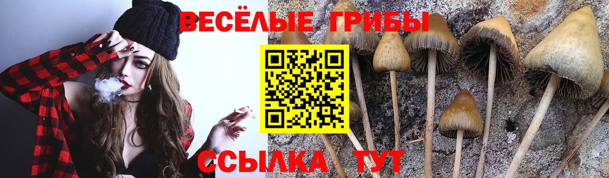 Берёзовский  Псилоцибиновые грибы прущие грибы  Вход с VPN 